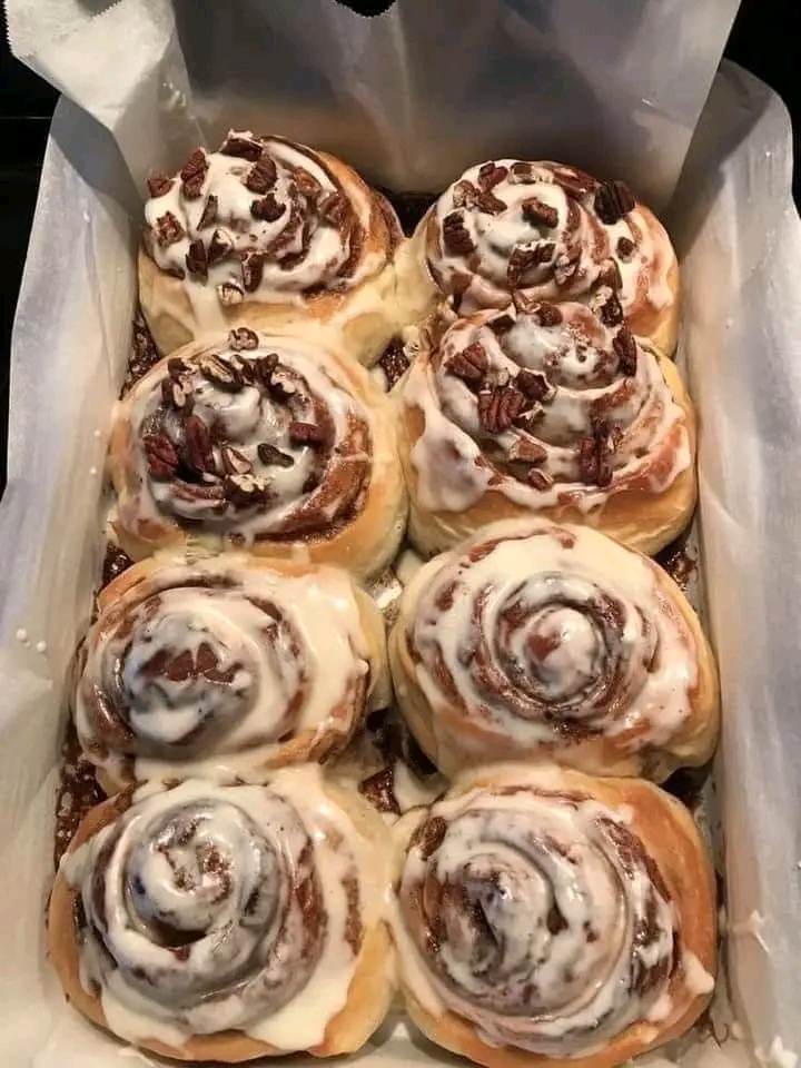 السينابون